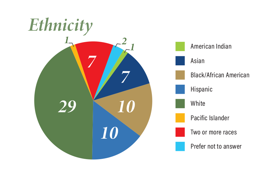 Demographics_Pipeline-Page (1).png